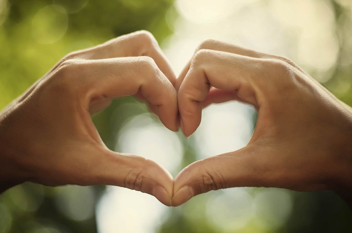 The Power of Gratitude
