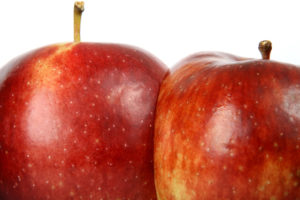 Cherry red summer apples isolated on white, macro close up with copy space